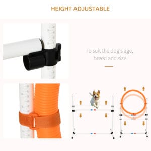 Pawhut 3pc Portable Pet Agility Training Set