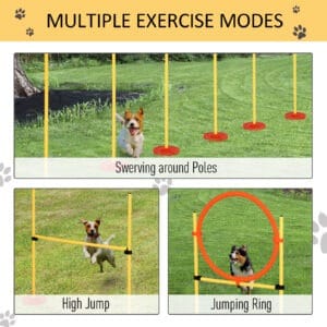 Pawhut Portable Pet Agility Training Set