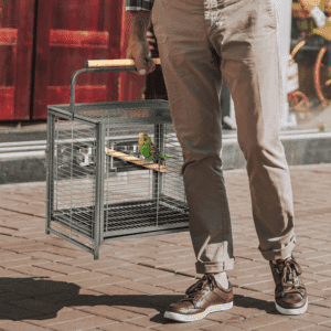 PawHut Bird Cage Carrier w/ Perch