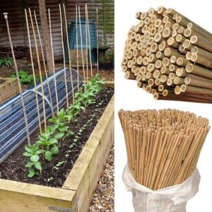 80 x 4ft Bamboo Canes Sticks 120cm
