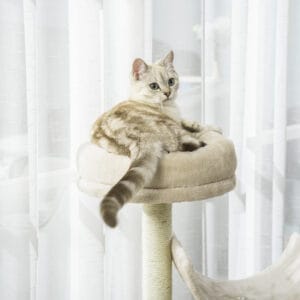 Pawhut Multi-Level Cat Tree Scratching Post