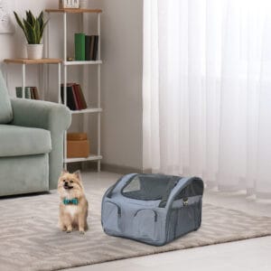 Pawhut Cat/Dog Travel Carrier Foldable