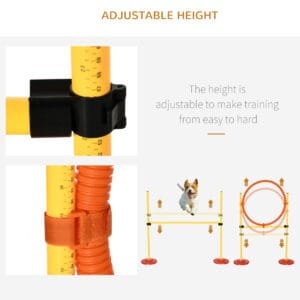 Pawhut 4pc Dog Agility Training Equipment