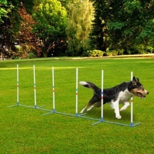 Pawhut Dog Weave Pole Set Agility Kit