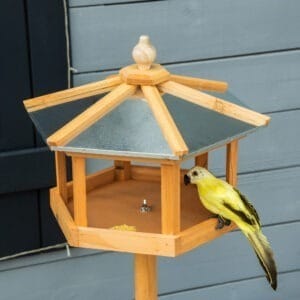 PawHut Bird Stand Feeder Table Nesting