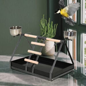 Pawhut Bird Stand s/s Base Perch Ladder