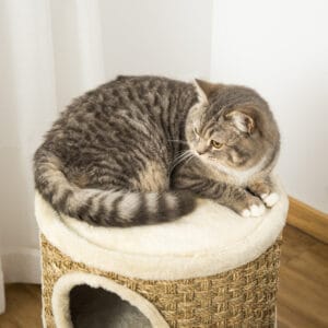 Pawhut Cat Barrel Tree Tower w/ Sisal Rope