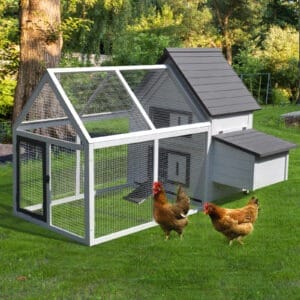 Pawhut Chicken Coop Hen House