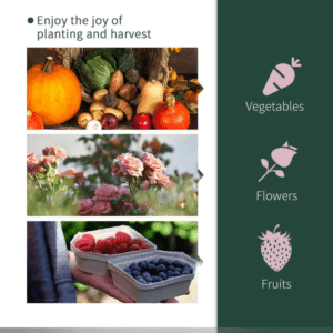 Tunnel Greenhouse Steel Frame