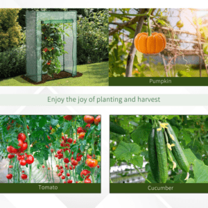 Outsunny Greenhouse w/ Roll-up Door