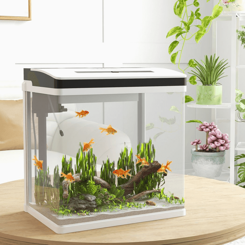 PawHut Aquarium 28L Glass Tank with Filter PawHut Aquarium 28L Glass Tank with Filter