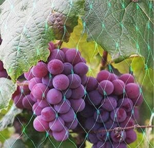 Aspect Garden Netting Anti Bird Protection