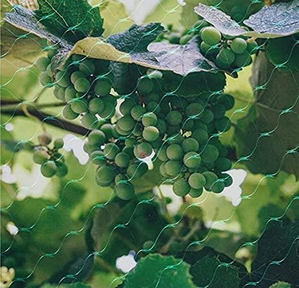 Aspect Bird Netting 2 Pack 10 X 2mtrs Aspect Bird Netting 2 Pack 10 X 2mtrs