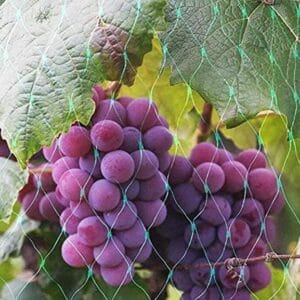 Aspect Bird Netting 2 Pack 10 X 2mtrs Aspect Bird Netting 2 Pack 10 X 2mtrs