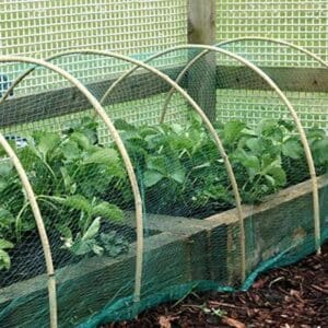 Garden Habitats 12 x Anti Bird Netting