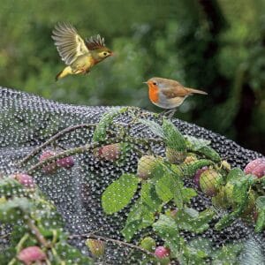 Garden Habitats 12 x Anti Bird Netting