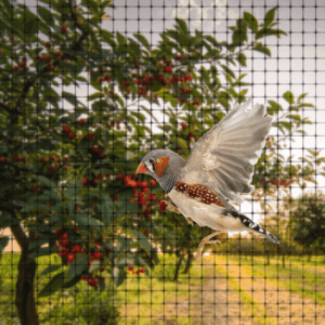 Garden Habitats 6 x Garden Netting