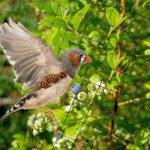 Garden Habitats 6 x Garden Netting