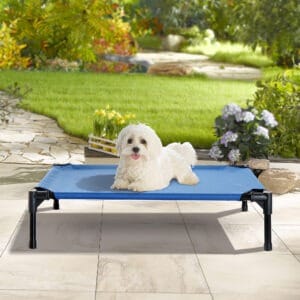 Pawhut Elevated Dog Bed Cool