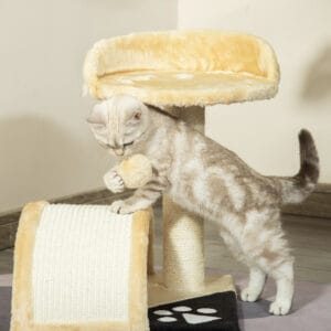 Pawhut Cat Tree Sisal Activity