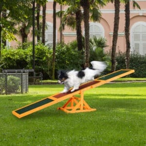 Pawhut Dog Seesaw Training Equipment