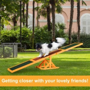 Pawhut Dog Seesaw Training Equipment