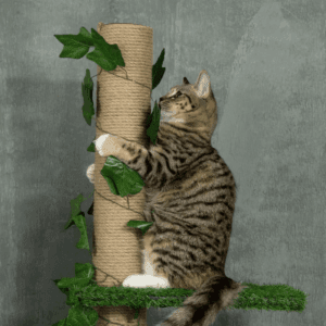 Adjustable Floor-To-Ceiling Cat Tree 242cm