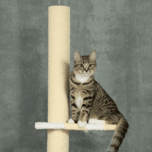 Floor-To-Ceiling Cat Tree 260cm Adjustable