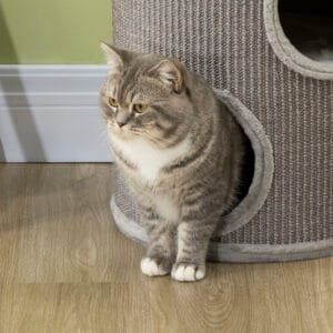 PawHut Cat Barrel Tower Covered w/ Sisal