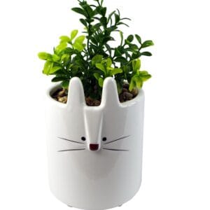 Leaf 15cm Ceramic Rabbit Planter