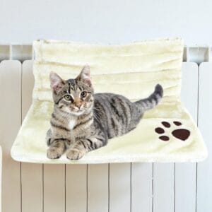 Cat Radiator Bed Classic White