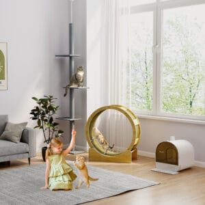 PawHut Cat Wheel with Brake Scratching Pads