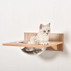 Pawhut 4pc Cat Wall-mounted Shelf Set