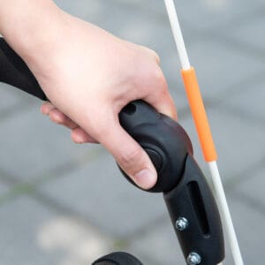 Pawhut Bicycle Trailer 2-in-1 Pet Stroller