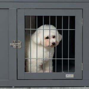 Pawhut Furniture-Style Dog Crate Two Doors
