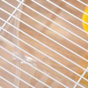 Pawhut 2 Storey Hamster Cage with Running Wheel Pawhut 2 Storey Hamster Cage with Running Wheel