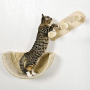 Pawhut Wall-Mounted Cat Shelves