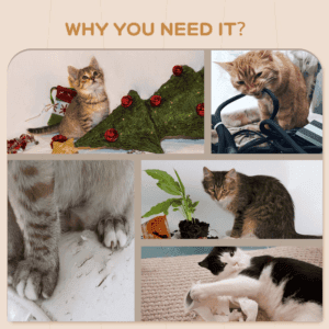 PawHut 4pc Wall Mounted Cat Tree Shelves PawHut 4pc Wall Mounted Cat Tree Shelves