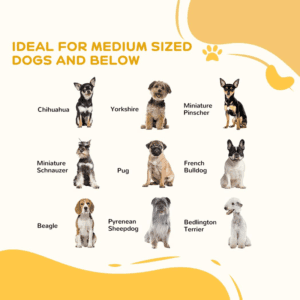 PawHut Foldable Dog Gate for Doorways