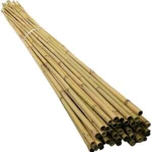 200 x 2ft (60cm) Bamboo canes