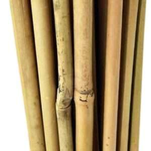 Bamboo canes 40 x 2ft (60cm)