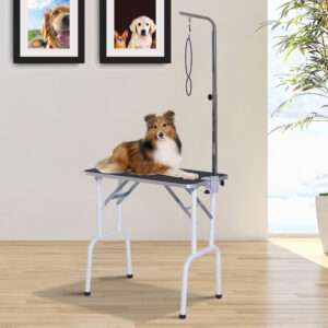 Pawhut Dog Grooming Table Foldable