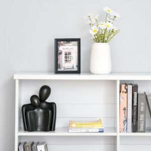 Bookcase w/ Shelves Cube Display