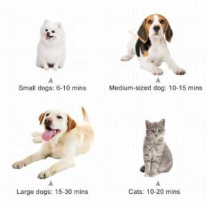 Pawhut 2800W Dog Hair Dryer