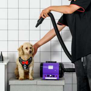 Pawhut 2800W Dog Hair Dryer