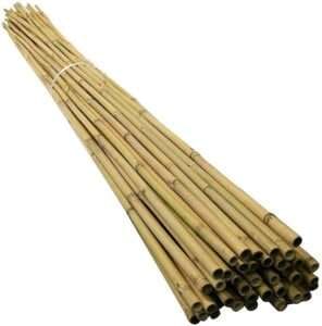 10 x 5ft Bamboo Canes 150cm
