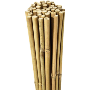 10 x 5ft Bamboo Canes 150cm