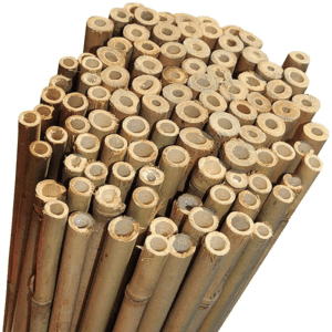 10 x 5ft Bamboo Canes 150cm