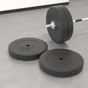 vidaXL Weight Plates 2pcs 30kg