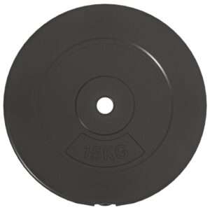 vidaXL Weight Plates 2pcs 30kg